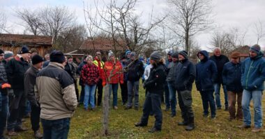 Kreisfachberater demonstrierte den richtigen Schnitt. Foto: Willi Kernbichl/Gartenbauverein Viechtach