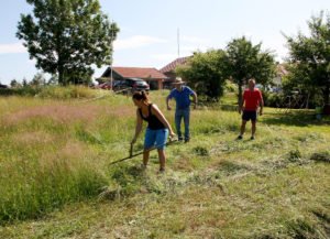 Über den nötigen Corona-Sicherheitsabstand muss man sich beim Sensen in der Regel keine Gedanken machen, den halten die anderen gern freiwillig ein. Foto: Langer/Landkreis Regen