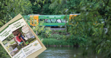 Mit Bayerwald-Ticket und GUTi lässt sich prima die Region erkunden. Mit der Waldbahn RB38 durch Bayerisch Kanada. Foto: Mediaatelier Bauernfeind.