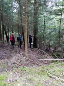 Die Teilnehmer bekamen nicht nur theoretisches Wissen, im praktischen Teil konnten sie im Wald über den Wald lernen. Foto: Michaela Müller/Landkreis Regen