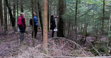 Die Teilnehmer bekamen nicht nur theoretisches Wissen, im praktischen Teil konnten sie im Wald über den Wald lernen. Foto: Michaela Müller/Landkreis Regen